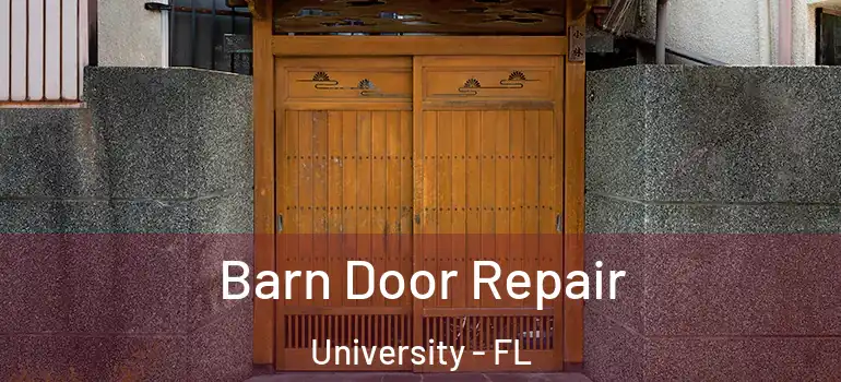  Barn Door Repair University - FL