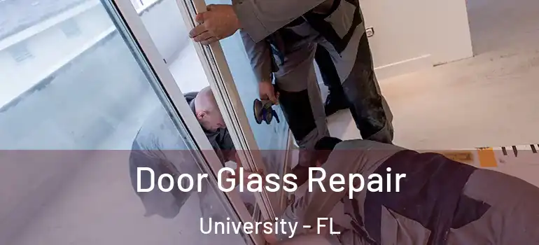  Door Glass Repair University - FL