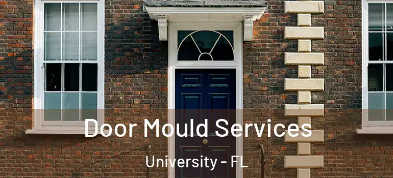  Door Mould Services University - FL
