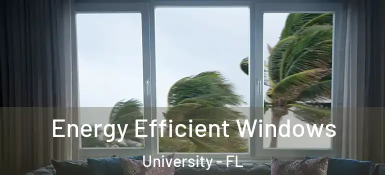  Energy Efficient Windows University - FL