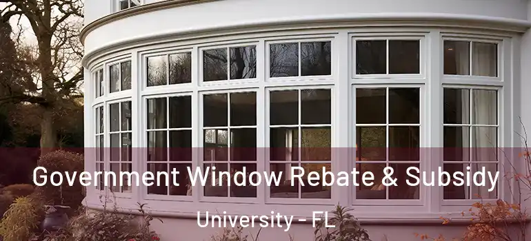  Government Window Rebate & Subsidy University - FL