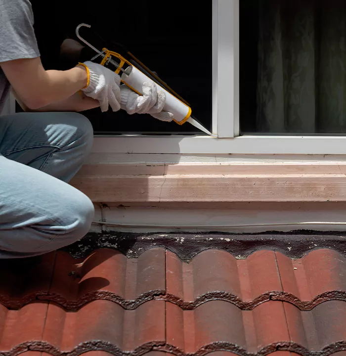 Roof Window Services in University, Florida