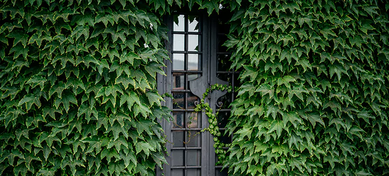 Garden Gate Repair in University, FL