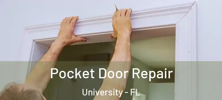  Pocket Door Repair University - FL