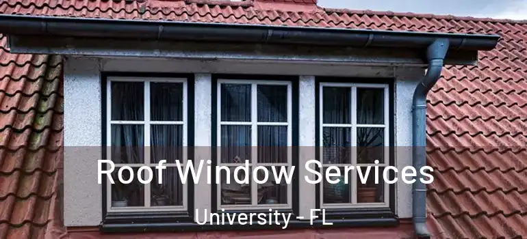  Roof Window Services University - FL