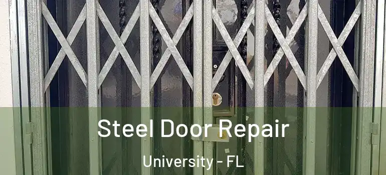  Steel Door Repair University - FL