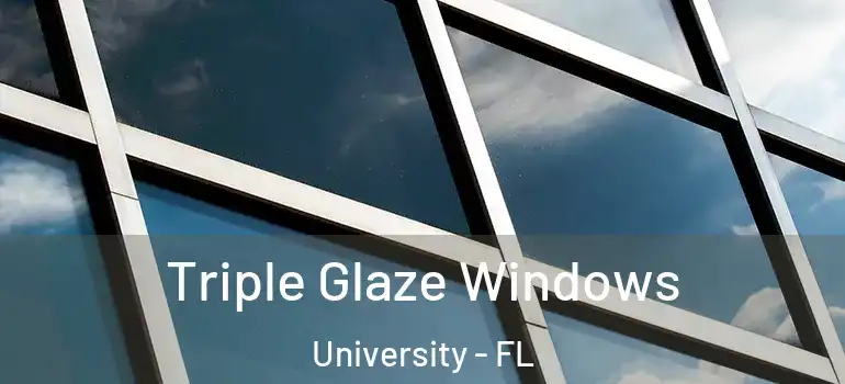  Triple Glaze Windows University - FL