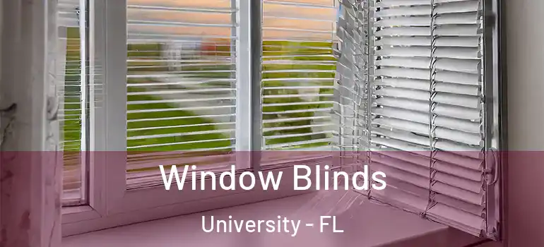  Window Blinds University - FL