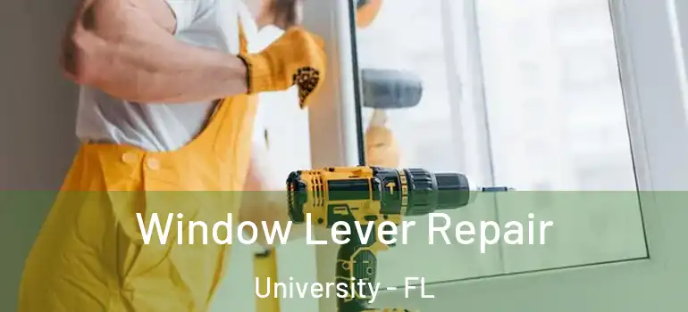  Window Lever Repair University - FL