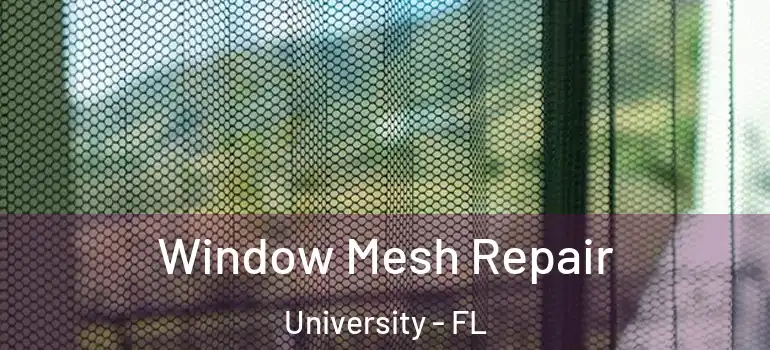  Window Mesh Repair University - FL