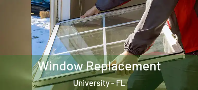  Window Replacement University - FL