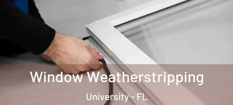  Window Weatherstripping University - FL